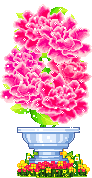QQ�ռ仨����